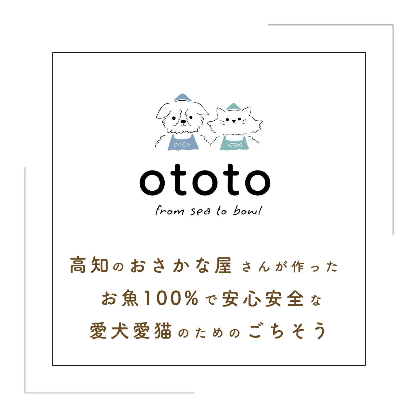 ototo カツオ 300g ＜100g×3パック入り＞
