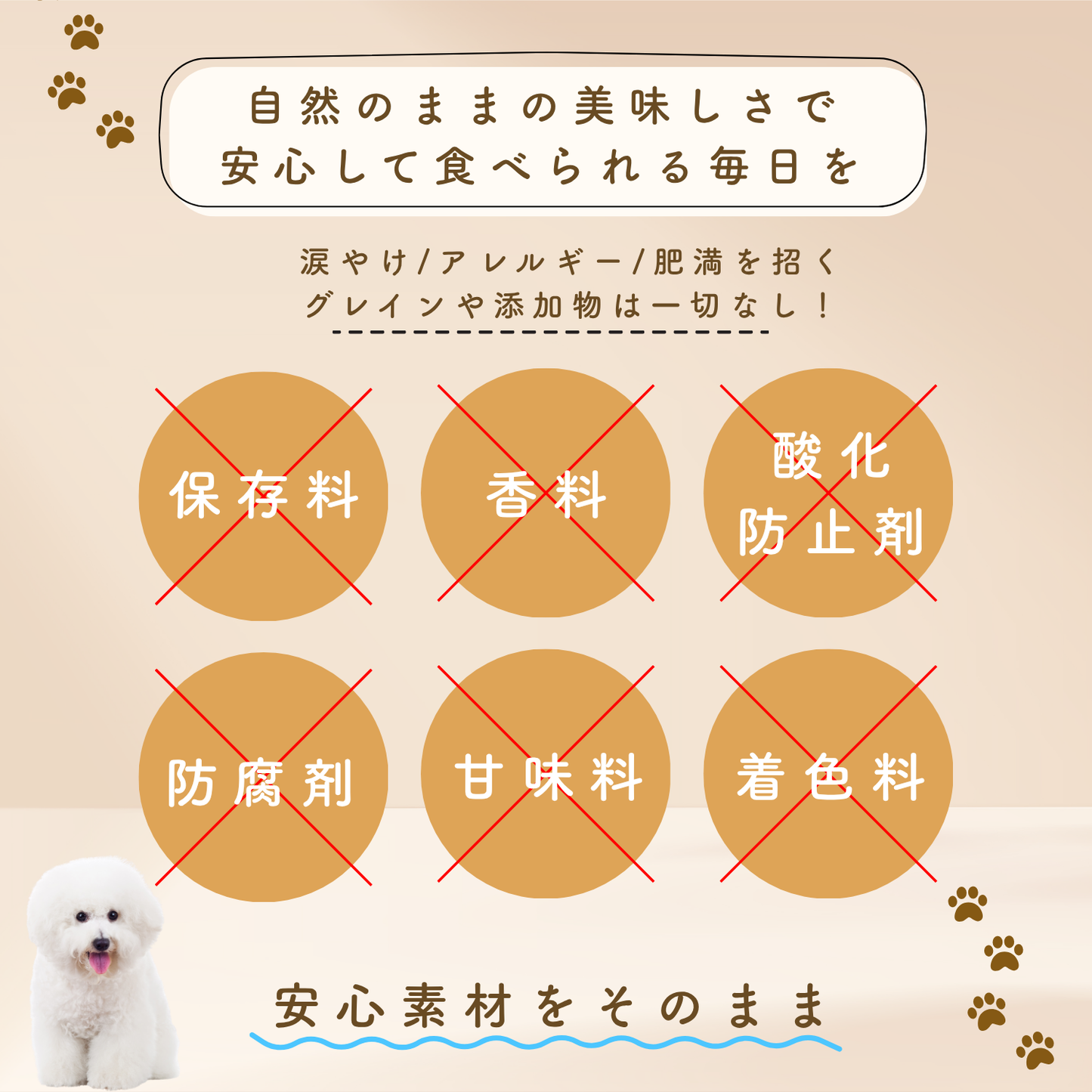 ototo カツオ 300g ＜100g×3パック入り＞