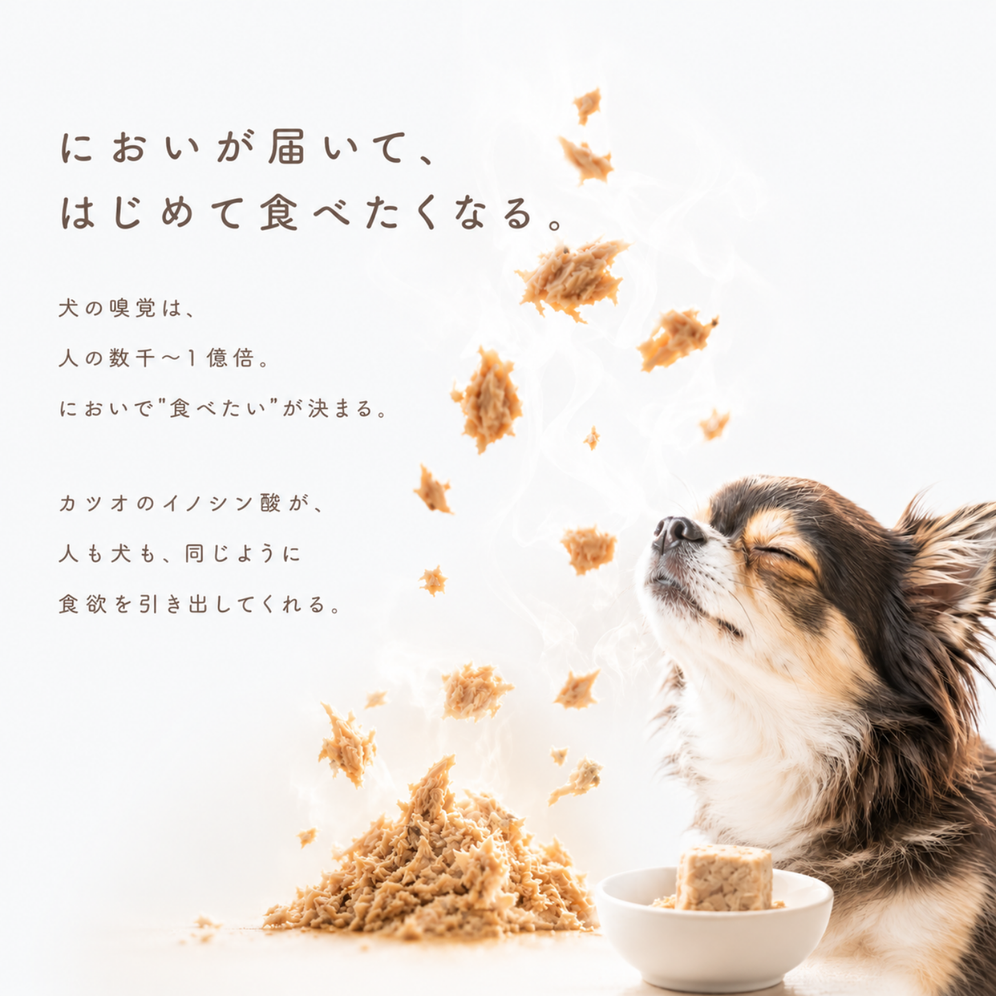 ototo カツオ 300g ＜100g×3パック入り＞