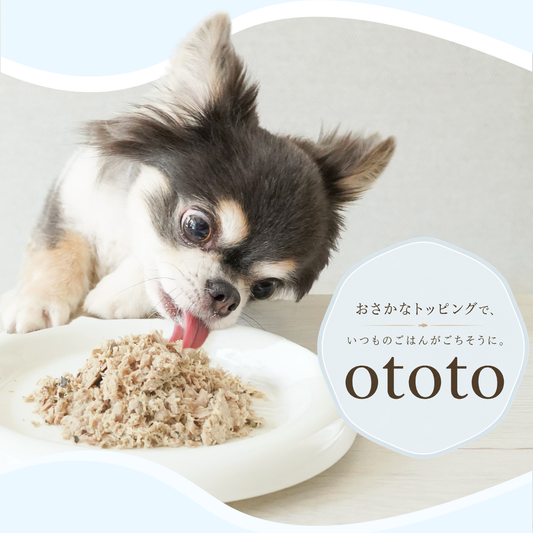 ✨初めての方におすすめ✨ototo カツオ 200g ＜100g×2パック入り＞