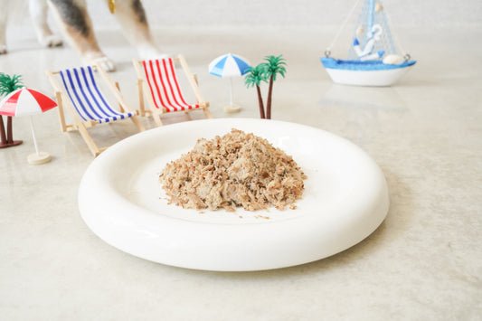 ototo カツオ 300g ＜100g×3パック入り＞送料無料