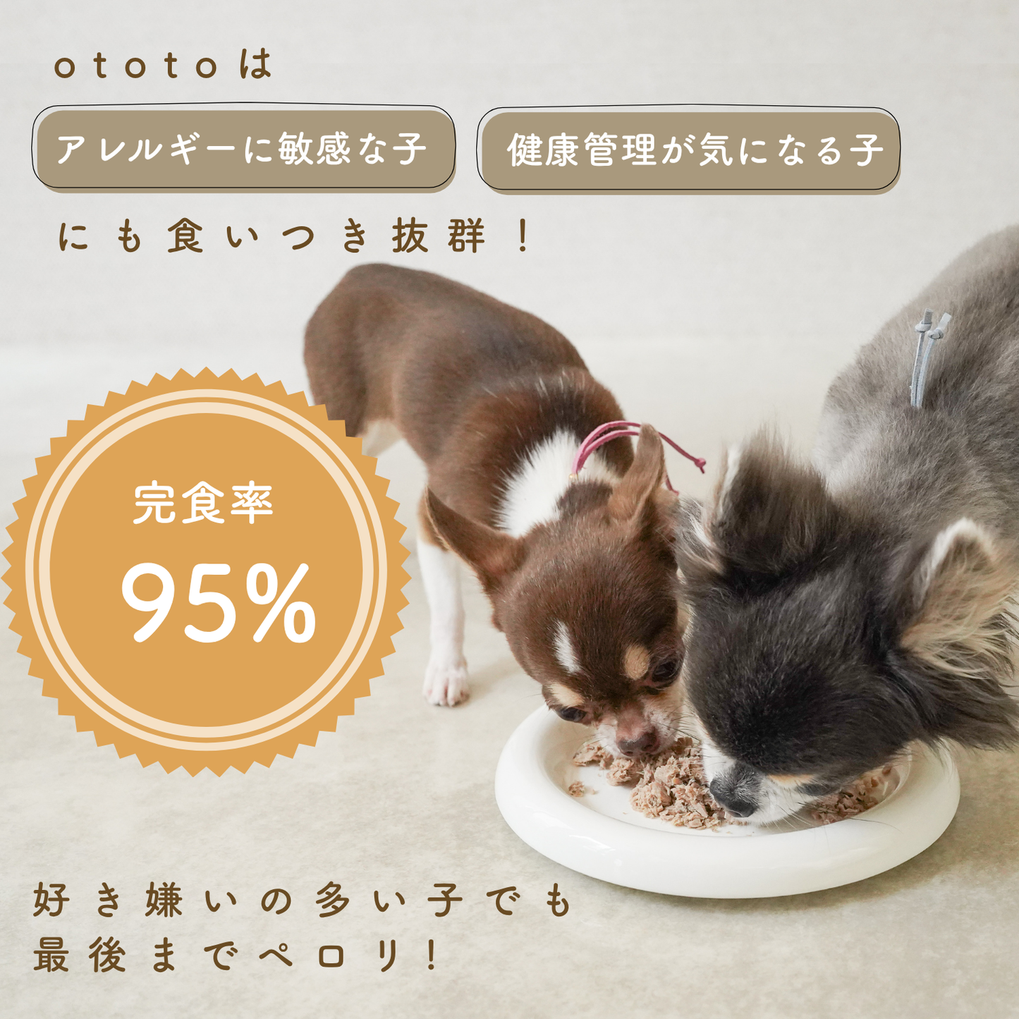 ototo カツオ 300g ＜100g×3パック入り＞