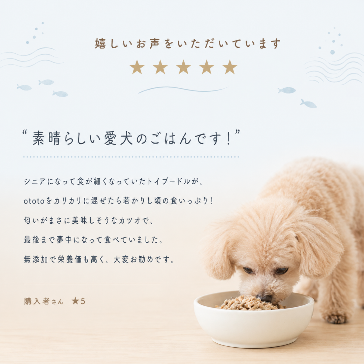 ototo カツオ 300g ＜100g×3パック入り＞