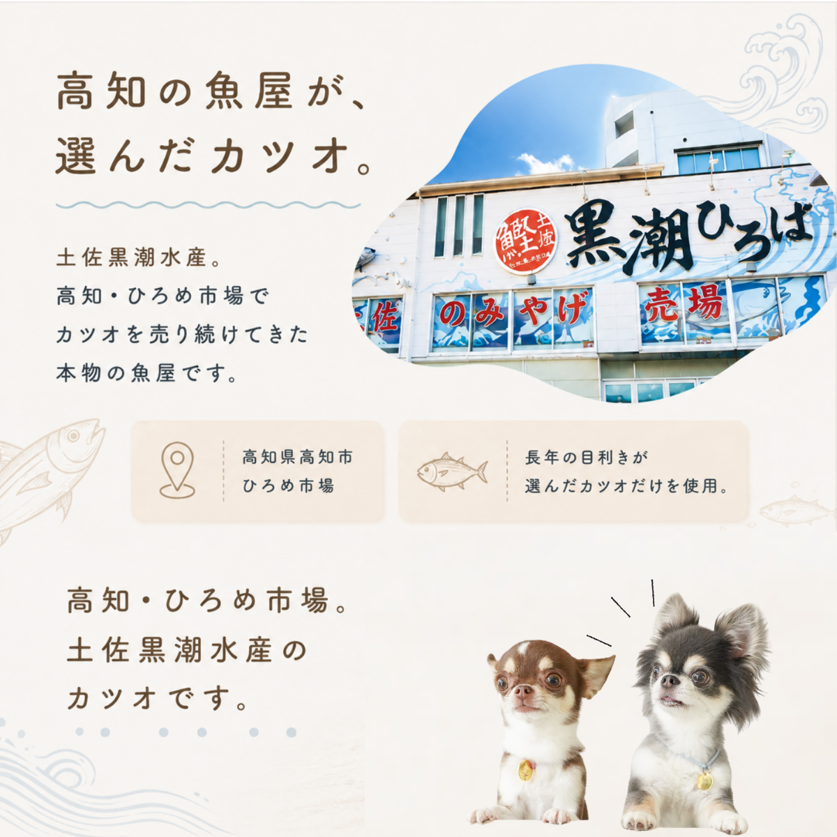 ototo カツオ 300g ＜100g×3パック入り＞