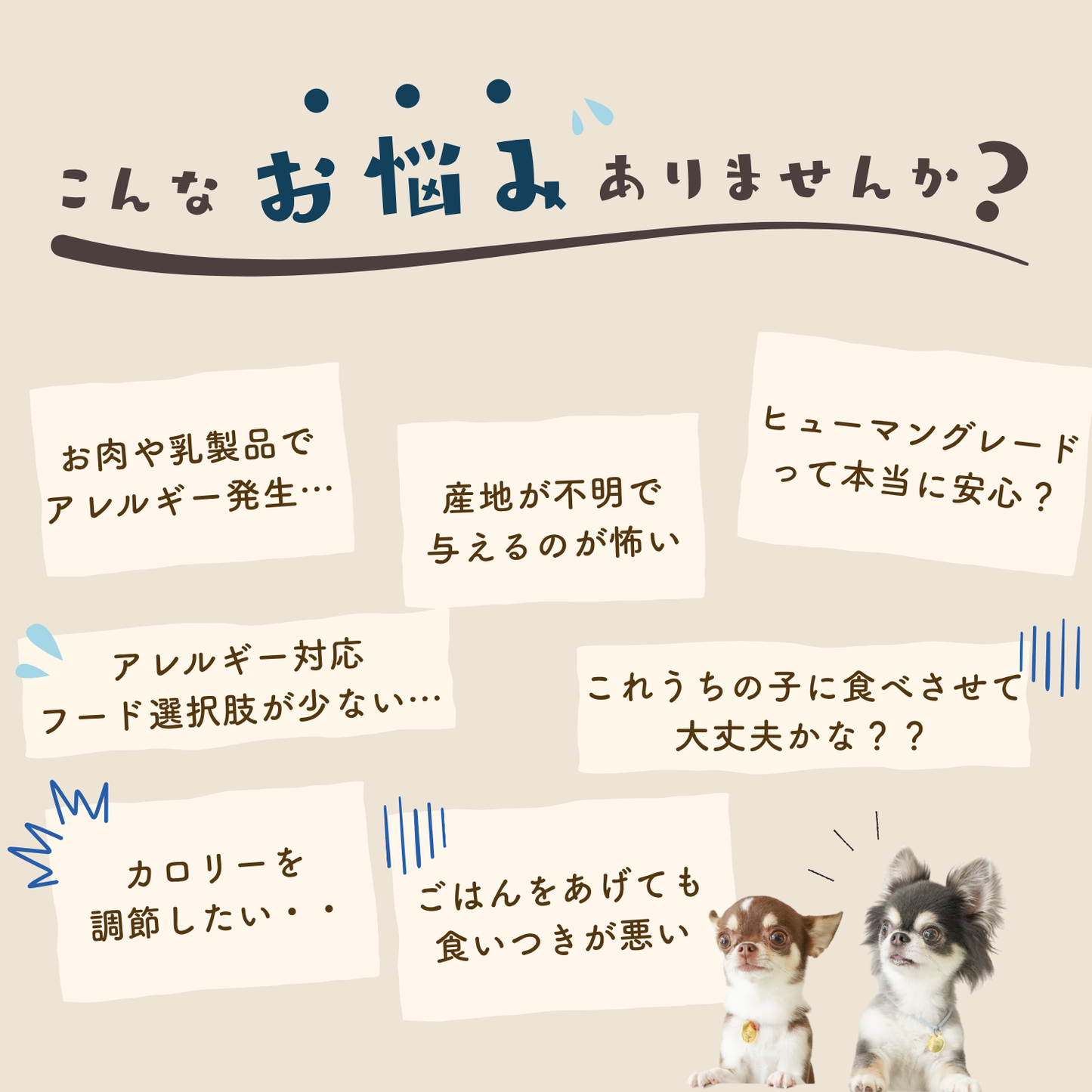ototo カツオ 300g ＜100g×3パック入り＞